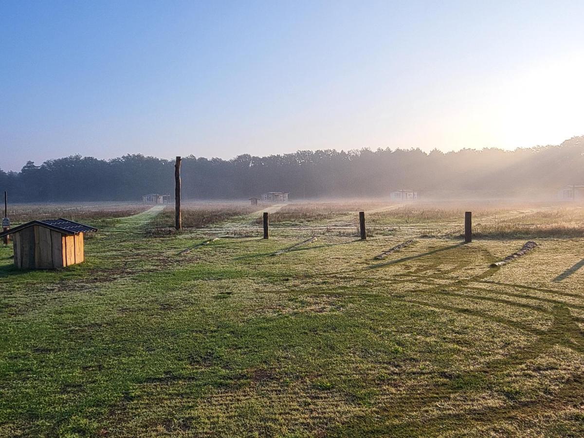 Hoeve Twente - De Bonte Specht Heythuysen Exterior foto